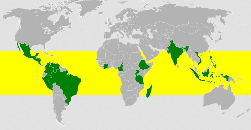 negara penghasil kopi terbesar dunia